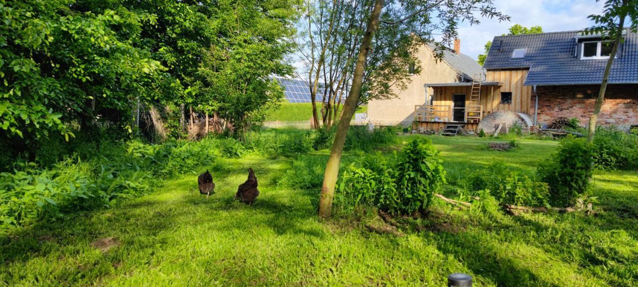 Ferienwohnung & Campingplatz Vor Dem Berg Heideblick Exterior foto